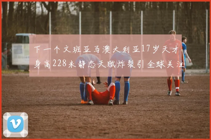 下一个文班亚马澳大利亚17岁天才身高228米静态天赋炸裂引全球关注