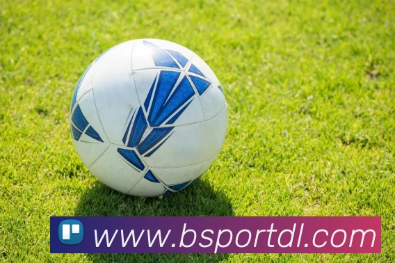 App Interface Preview